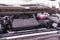 2026 Chevrolet Silverado 1500 Crew Cab Short Box 2-Wheel Drive LT