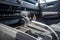 2026 Chevrolet Colorado Crew Cab Short Box 2-Wheel Drive LT