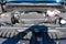2026 Chevrolet Silverado 1500 Crew Cab Short Box 2-Wheel Drive RST